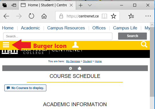 Burger icon button